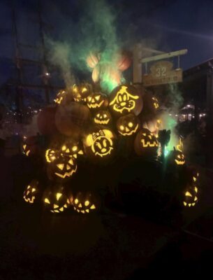 IMG_9283.jpeg